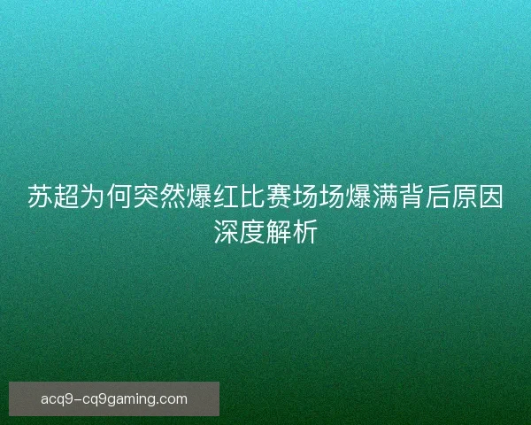 苏超为何突然爆红比赛场场爆满背后原因深度解析