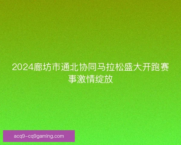 2024廊坊市通北协同马拉松盛大开跑赛事激情绽放