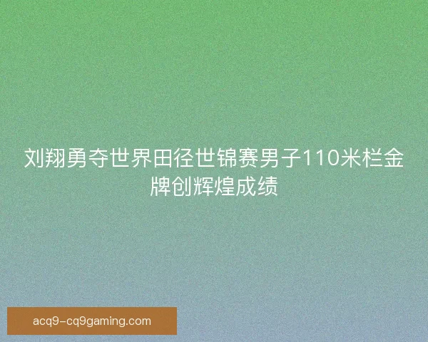 刘翔勇夺世界田径世锦赛男子110米栏金牌创辉煌成绩