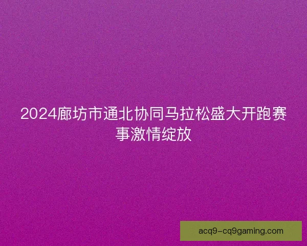 2024廊坊市通北协同马拉松盛大开跑赛事激情绽放